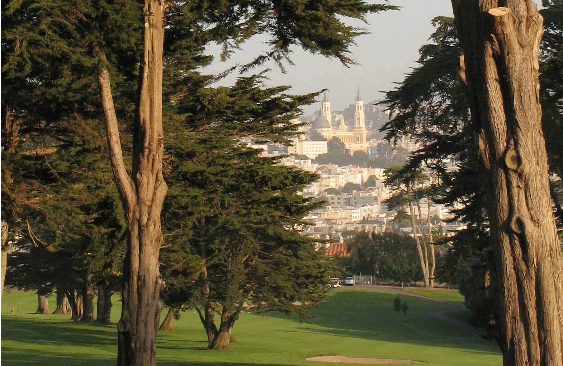 tall trees with city view 10 green to 9 fairway hort